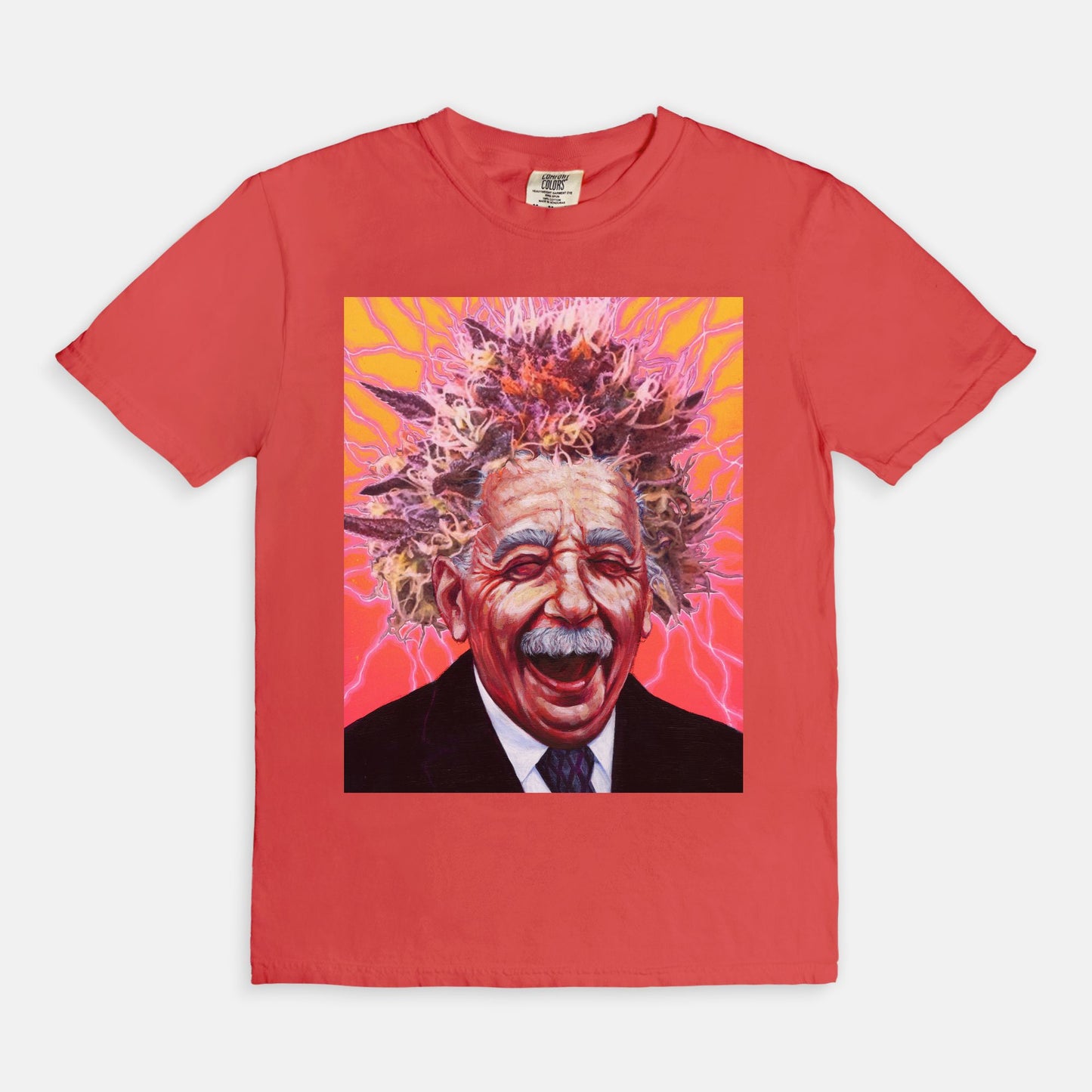 Albert Pinestein - T-shirt