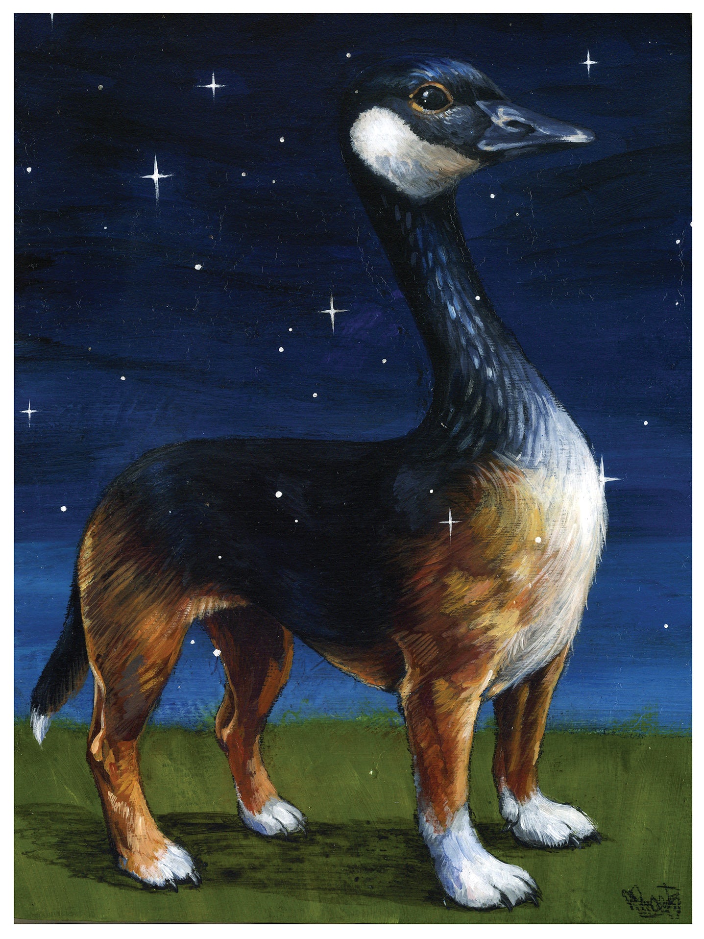 Beagle goose