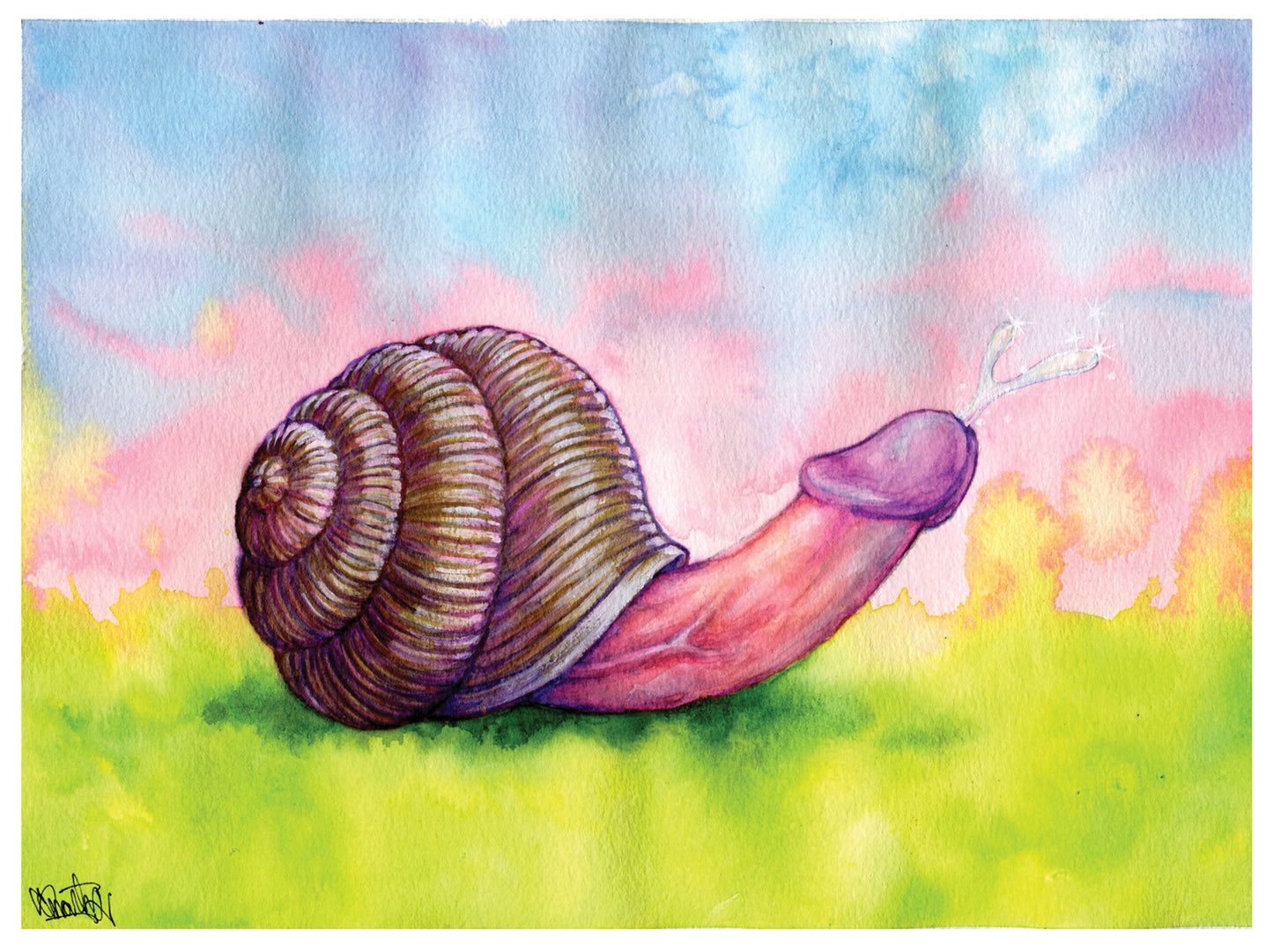 Dick snail