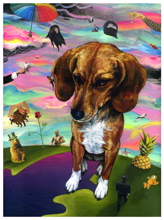 Molly's world